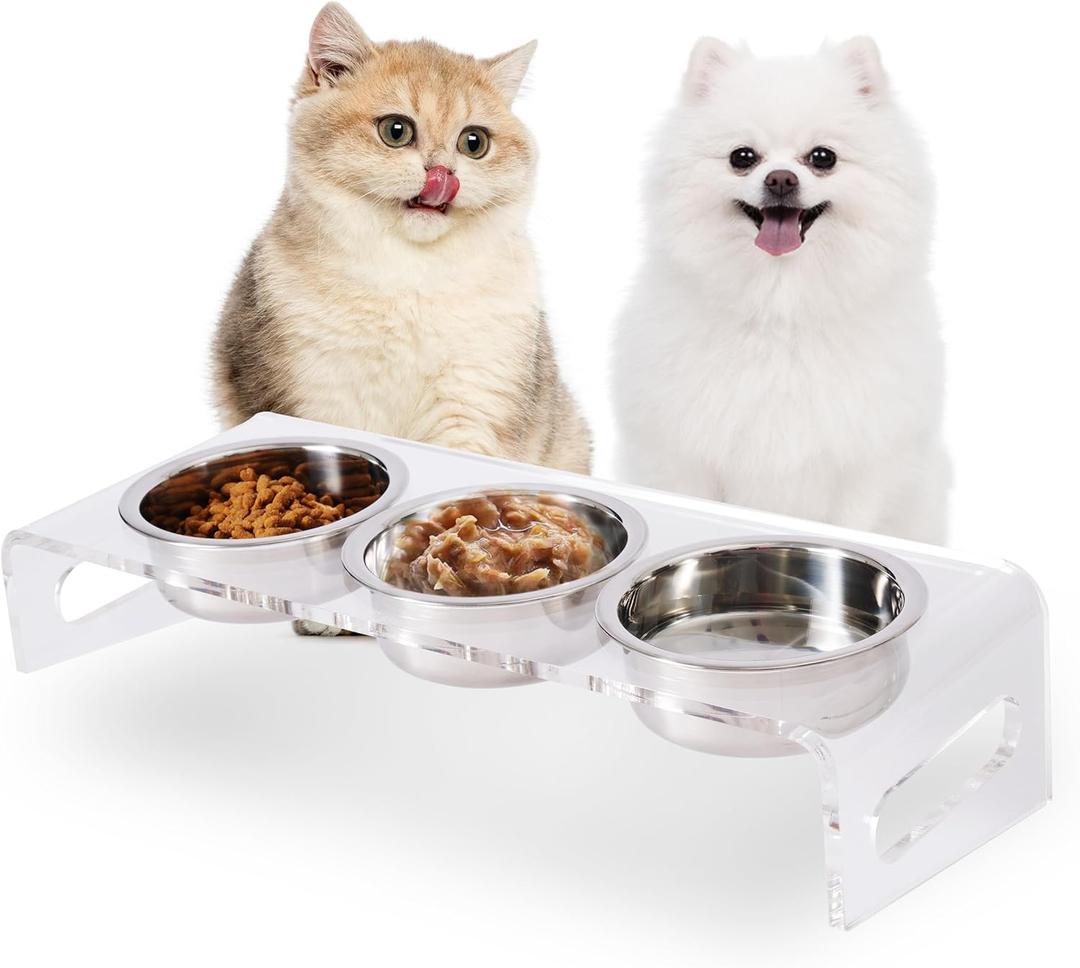 Tilted Raised Elevated Food and Water Bowls Stand for Cat or Small Dogs - Puppy's Clear Acrylic Stainless Steel 3 Dishes Holder for Boy or Girl Pet by WBhonghui (Clear-3bowls)