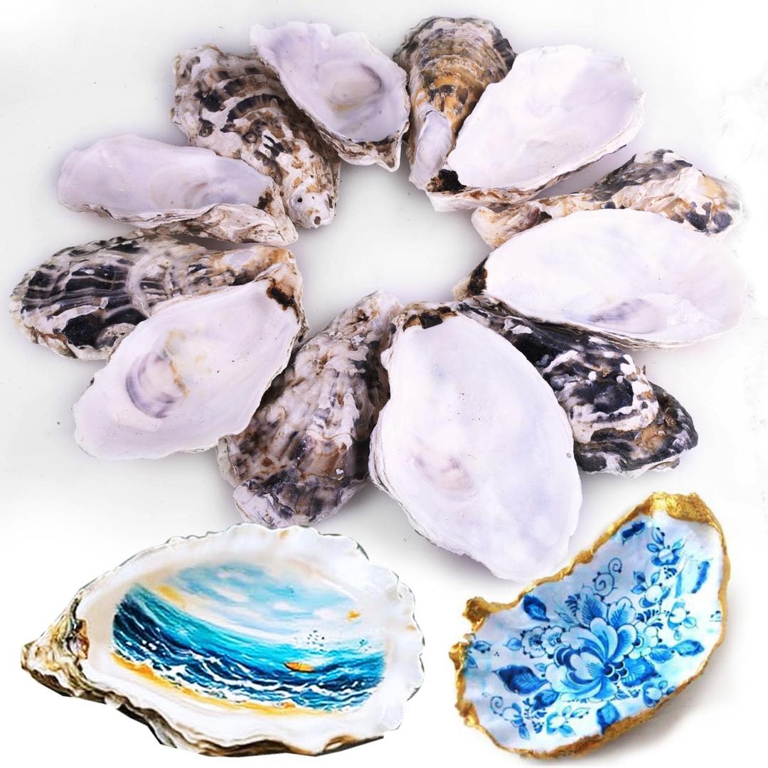 12Pcs 3"-4" Oyster Shells for Crafts Natural Large Oyster Shells for DIY Crafting Christmas Ornaments Decoupage Beach Decor Arts and Crafts Bulk Clam for Chicken
