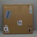 the stream design Birch Tree Artwork Canvas Painting: Trees Wall Art Autumn Forest Nature Landscape Picture Hand Painted Textured Aspen Print Decor for Living Room Bedroom Office Home