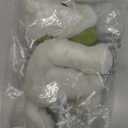 Compendium  an Adorable Stuffed Arctic Fox Plush, Companion to The Book Why Not?, 5.25" L x 5.75" W x 8" H