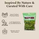 Quality Growers Reindeer Moss, Preserved Moss, Chartreuse, Medium 2-Pack | Preserved Moss for Crafts, Home Decor, Art, Design & DIY Projects, Non-Toxic, All Natural, Family Owned, USA Made