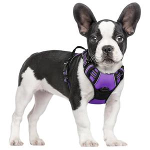 rabbitgoo Dog Harness No Pull with 2 Leash Clips, Adjustable Soft Padded, Reflective Oxford No Choke Pet Vest with Easy Control Handle for Small Dogs, Purple, S