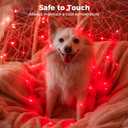 litogo 24 Pack Red Fairy Lights Battery Operated with Timer, 20 LED 3 Modes Twinkle Light, 7ft Waterproof Silver Wire Mini Small Bulk Mason Jar String Light, Decor for Wedding Party Christmas