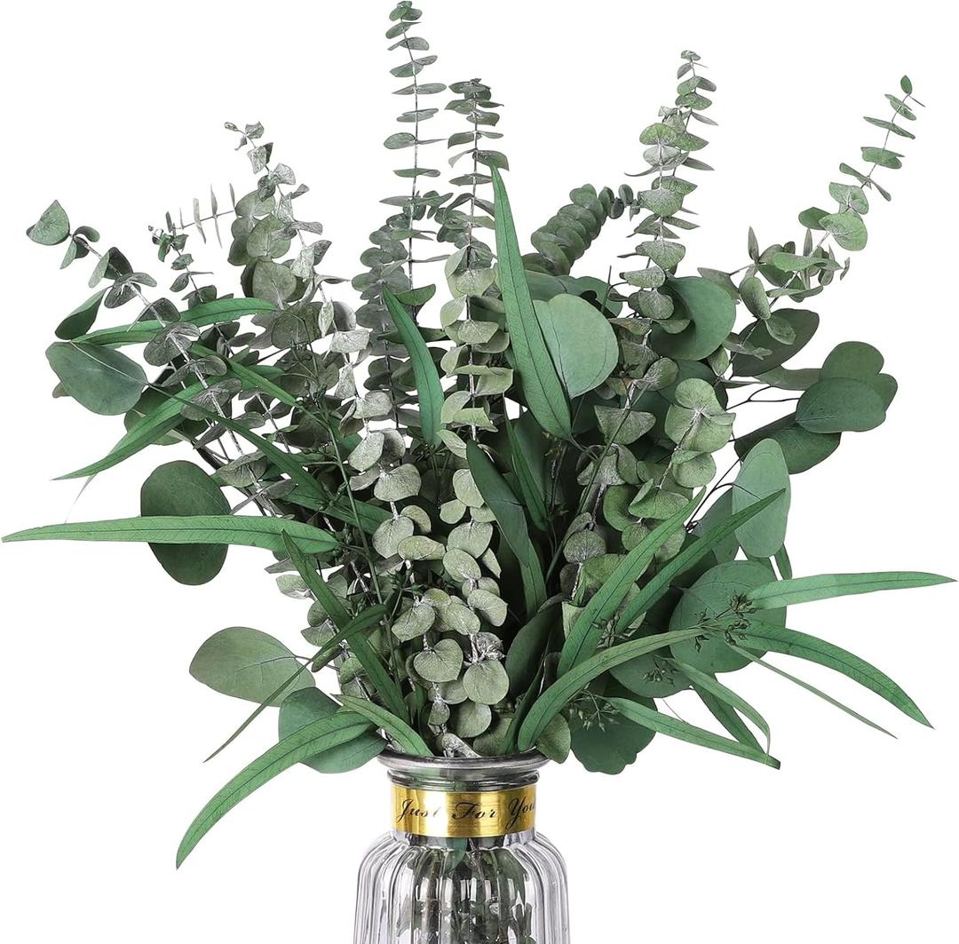 Eucalyptus Stems Mixed Dried Eucalyptus Bundle 15PCS Natural Eucalyptus Stems Greenery Plant for Wedding Bouquet Shower Hanging Home Spring Mother's Day Decoration