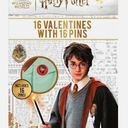 Harry Potter 16 Valentines Cards with Pins