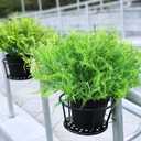 Set of 2 Large Potted Plants Artificial Ferns for Outdoor - Already Assembly Faux Ferns in Pots UV Resistant Realistic Fake Greenery Potted for Outdoor Home Office Patios Porches Yards Decor