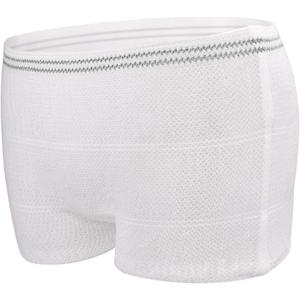 Carer Mesh Postpartum Underwear C-Section Recovery Maternity Women Disposable Knit Panties Briefs Breathable,Lightweight (Large, 10PCS)