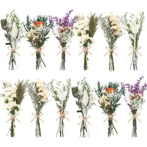 12/24 Pack Dried Flowers for Vase Various Mini Bouquet Dried Small Wildflowers Natural Real Flowers Bulk for Crafts DIY Wedding Decor (12, White)