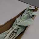 SHACOS Artificial Flocked Lambs Ear Stem 12 Pieces Lamb's Ear Branch Foliage Pick Greenery Leaf Flower Spray for Home Wedding DIY Floral Arrangement
