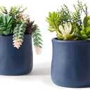 Artificial Succulent in Ceramic Pots, 2 Packs Large Faux Fake Plants Navy Blue for Desk,Office, Bedroom, Living Room, Bathroom Office Shelf Home Dcor