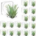 Jetec 24 Pcs Acrylic Air Plants Holder Hanger with Mounting Tape for Hanging Air Plants on Glass Display Home Decoration