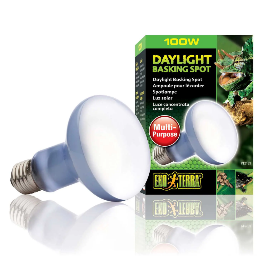 Exo Terra Sun-Glo Basking Spot Lamp, 100-Watt/120-Volt (3 Pack)