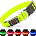 Illumifun Light Up Dog Collar - USB Rechargeable LED Dog Collar, Adjustable Lighted Pet Safety Collar for Night Walking (Green, Small)