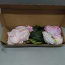 Pink Peonies Silk Flowers 2 Bouquets Pink Fake Peonies 14 Heads Faux Peony Flowers with Stems for Wedding Decoration Bride Bouquet Faux Flowers Crafts Floral Arrangement (Multi-Pink)
