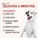 Stella & Chewy's Freeze-Dried Raw Beef Heart Dog Treats - Single Ingredient, No Additives - Premium Training Treats - Perfect For Picky Eaters - 3oz Bag (EXP 02/15/26)