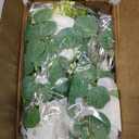 Dolicer 2Pcs 13Ft Artificial Eucalyptus Garlands with Flowers - 8 Roses, Faux Floral Greenery Garlands Fake Flowers Vines for Wedding Table Centerpieces Arch Party Ceremony Backdrop Decor (White)