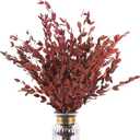 Real Red Eucalyptus Stems Decor 20PCS 17" Dried Willow Eucalyptus Plant Preserved Stems for Home Vase Filler Wedding Flowers Fall Arrangement Decorations