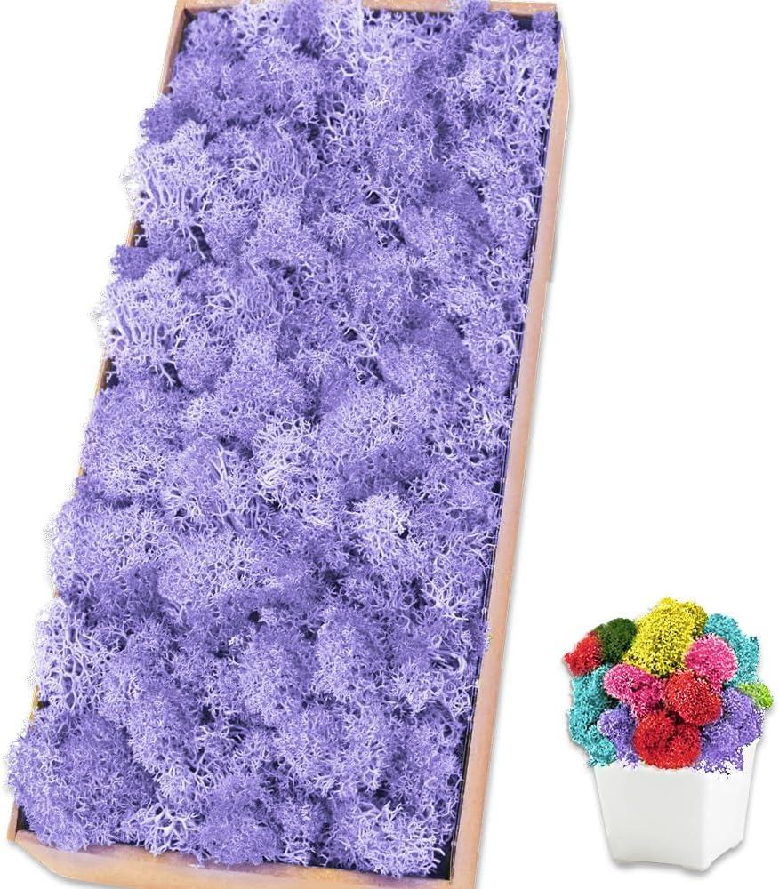 Preserved Moss for Crafts Light Purple Reindeer Moss for Potted Plants, Craft Decorative Moss Decor for Wall Art, Dried Moss(1.1 lb, Light Purple)