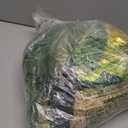 Artificial Tropical Palm Leaves