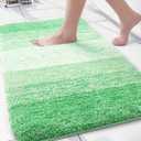 Arotive Microfiber Bathroom Rugs, Shaggy Soft and Absorbent Bath Rug, Non-Slip, Thick Plush Machine Washable Dry Bath Mats for Bathroom, Tub and Shower, 30x20, Green, Rectangular