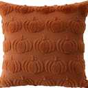 2 x Artscope Fall Pillow Covers 18 x 18 Set of 2 Decorative Autumn Harvest Holiday Pumpkin Throw Pillow Cases Soft Plush Faux Fur Couch Cushion Case for Farmhouse Halloween Sofa Bed Room Home Decor-Rust