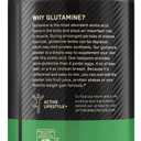 Optimum Nutrition L-Glutamine Muscle Recovery Powder, 300g, Unflavored, 58 Servings (EXP 02/02/28)