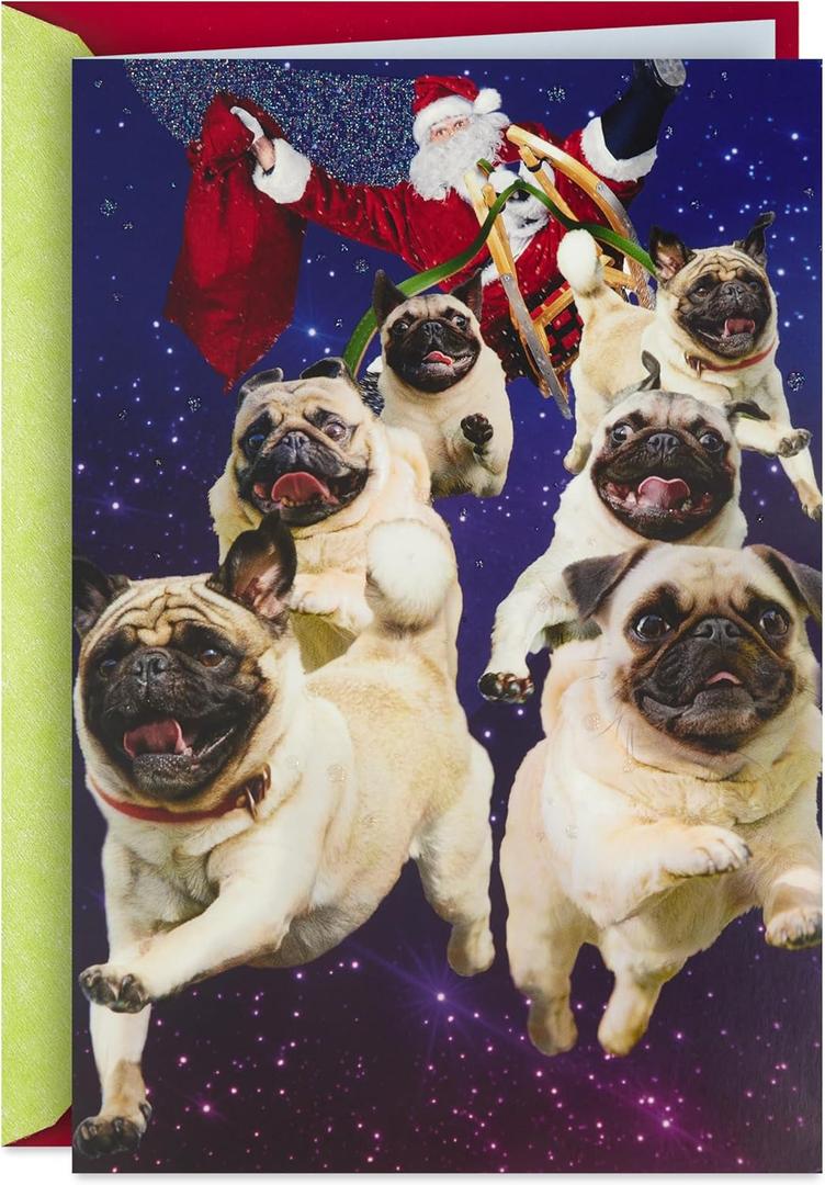 Hallmark Musical Christmas Card for Family (Santa and Flying Pugs)