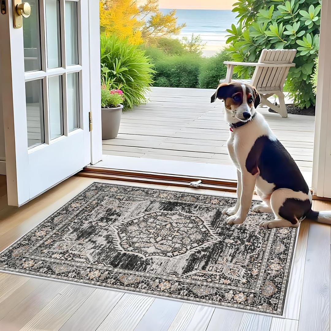 Washable Area Rugs 2x3 Entryway: Soft Ultra Thin Low Pile Mat Machine Washable Indoor Doormat Lightweight Entry Rug Anti Slip Backing Rugs for Living Room Bedroom Kitchen 2'x3' Black