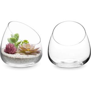MyGift 5 Inch Premium Clear Glass Air Plant Terrarium, Mini Candy Bowl Jar, Tealight Candle Holder, Succulent Cactus Plant Vase, Set of 2