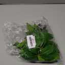 JGbaby Artificial Aquarium Plants,Fish Tank Decorations Betta Leaf Hammock Driftwood 10in Realistic Silk & Plastic Plants, Hideout Decor for Betta, Goldfish,Reptiles,Small Tanks 