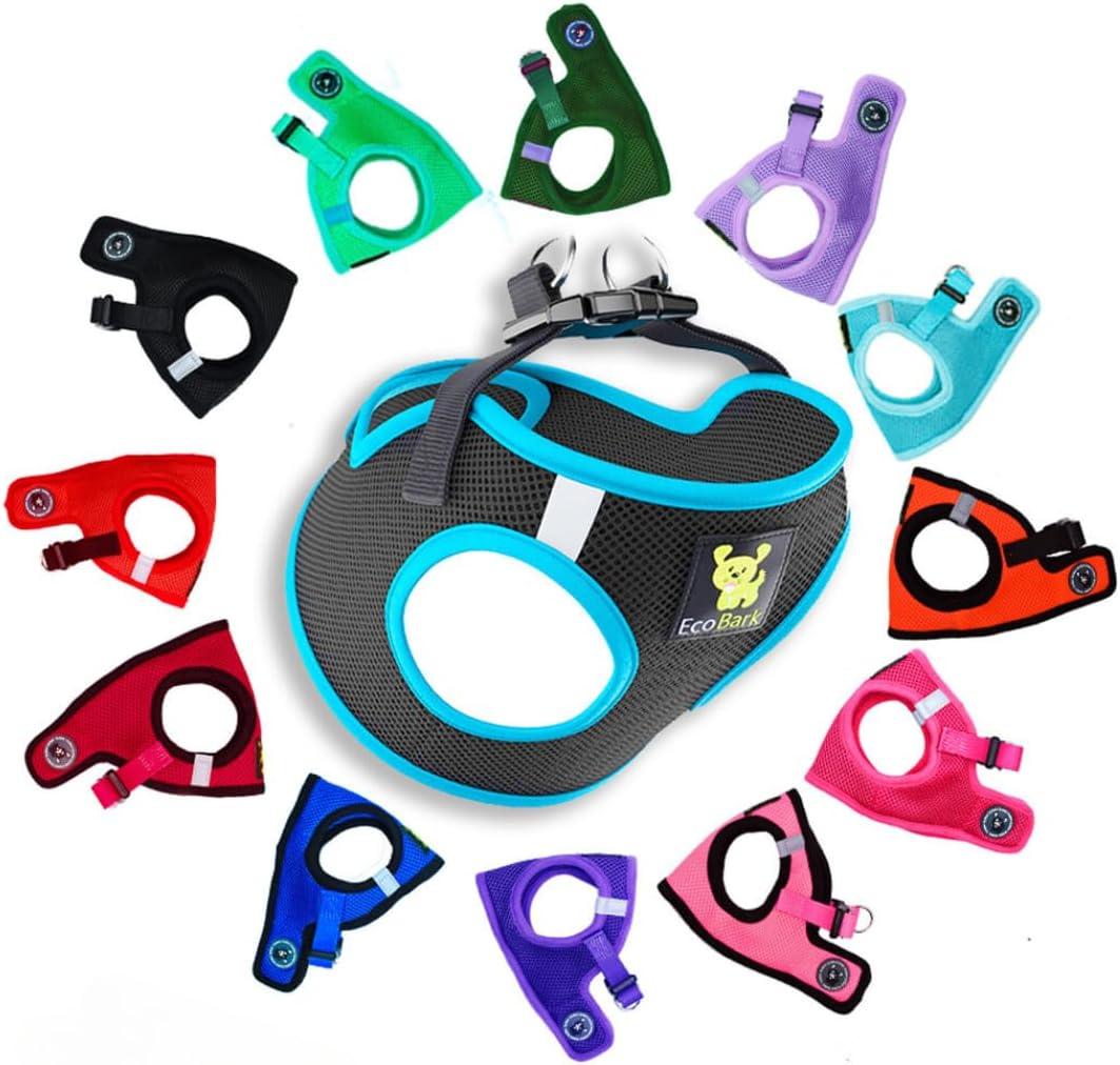 EcoBark Step in Dog Harness - Eco-Friendly Teacup Dog Harnesses for XXS, XS, and Small Dogs - Reflective and Adjustable Mini Body Halter Vest -Tiny Soft Mesh Toy Breed Harness (Black and Teal, XXS) (XXS- 4 to 5 lbs- Chest Up to 11 in (Pack of 1))