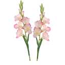 Long Stem Artificial Gladiolus Flower, Set of 2, Home/Wedding/Office Decor (Coral Pink)