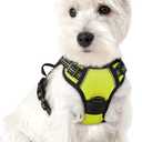 rabbitgoo Dog Harness No Pull with 2 Leash Clips, Adjustable Soft Padded, Reflective Oxford No Choke Pet Vest with Easy Control Handle for Puppy, Green, XS (Wild Lime)
