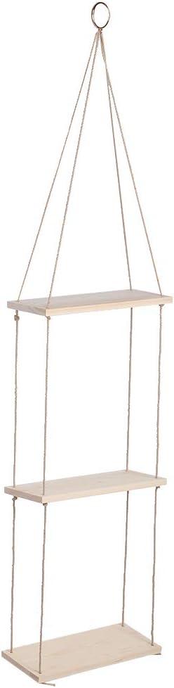 2/3 Tier Outdoor Hanging Shelves for Wall, Wall Hanging Storage Rack Floating Organizer Plant Stand Rack for Home Kitchen Garden(3 Layers)