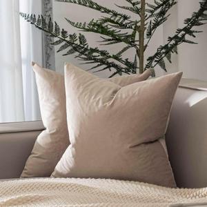 JUSPURBET Couch Pillow Covers Set of 2 Decorative Velvet 20x20 Throw Pillow Covers Cases for Living Room Bedroom Home Decor Soft Cushion Covers Cases with Hidden Zipper for Sofa Bed,Cloud