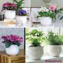 African Violet Pots Self Watering  6.5W x 4.6H Ceramic Self Watering Pots for Indoor Plants with Glazed White Outer Pot & Absorbent Inner Pot for Easy Plant Care