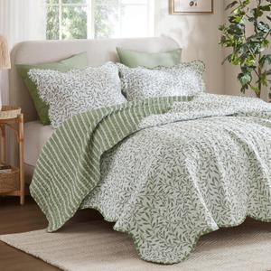 Madison Park 3-Piece Reversible Quilt Set, Botanical Print & Scalloped Edge, Lightweight Summer Bedding, Queen, Market Green | Lightweight