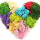 7 Oz Colored Fake Moss Preserved for Crafts Artificial Decorative Moss Faux Garden Dried Floral Forest for Terrariums Wall Decor Fairy Gardens Wedding Floral Project(Mixed Color)