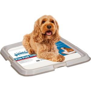 Pawise Dog Pee Pad Holder for Puppy, Puppy Pad Holder Tray, Pet Training Pee Pad, Indoor Potty Tray for Senior Dogs, Dog Toilet for Newborn Puppies, 23.5" x 23.5" (Small)