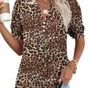 Kistore Womens Summer Short Sleeve Tops Chiffon Blouses Business Casual Top V Neck Tunic Shirts Brown Leopard Print XL (XL)