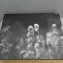 Art Wall Puff Wrapped Canvas Art by Mark Ross, 14 by 18-Inch