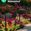 5W Low Voltage Landscape Pathway Lights with Connectors,12-24V Outdoor Path Lights, 3000K Wired Landscape Lights for Yard Garden Walkway, IP66 Waterproof12Pack