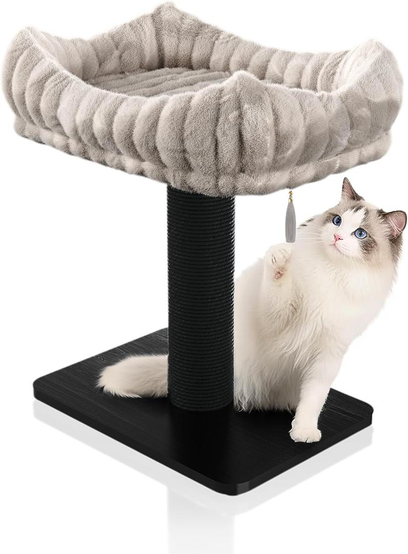 Modern Scratching Post for Indoor Cats - 15 High Cat Scratching Post with Bed Breeds - 15.7 x 11.6 Removable & Washable Cushion (Black Post with Gray Bed)