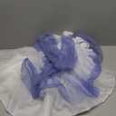 Snow Queen Elsa Costume for Girls Official Disney Frozen 2 Tutu Dress for Toddlers (Medium (3T-4T))