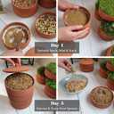 Clay Sprouter Kit | Terracotta Tower with 3 Shallow Germinating Trays, Paper Discs & Free E-Book | 2 in 1 Sprouting Trays Ideal for Germinating Sprouts and Microgreens