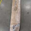 Zinus Walter Standard Profile Metal Smart Box Spring / Mattress Foundation / Wood Slat Support / Easy Assembly (Queen, White)