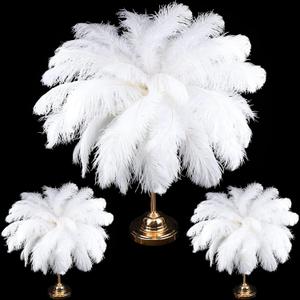 XunYee 60 Pcs Large Natural Ostrich Feathers Plumes Bulk for Centerpiece 18-20 Inch (45-50 Cm) Feathers for DIY Crafts Christmas Wedding Masquerade Party Decorations(White)
