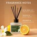 Soul & Scents Reed Diffuser Set Jasmine | 7.43 oz Refillable Scented Oil with 6 Fiber Sticks | Long-Lasting Home Fragrance & Air Freshener for Bedroom, Bathroom, Office | Gift & Dcor Piece