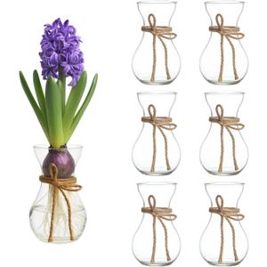 6Pcs Small Glass Hyacinth Vases Set - Clear Mini Bud Flower Vases with Twine Ropes for Home & Wedding Table Centerpieces Decor, Bulb Forcing, Avocado Planting
