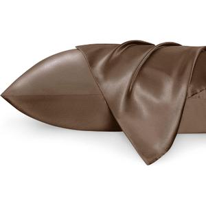 Bedsure Satin Pillowcases, Similar to Silk Pillow Cases Queen Size Set of 2, Pillow Case for Sleeping Women with Envelope Closure, Gifts for Women Men, Beaver Fur, 20x30 Inches
